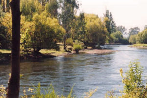 Tumut River Walk